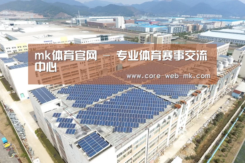 案例展示三