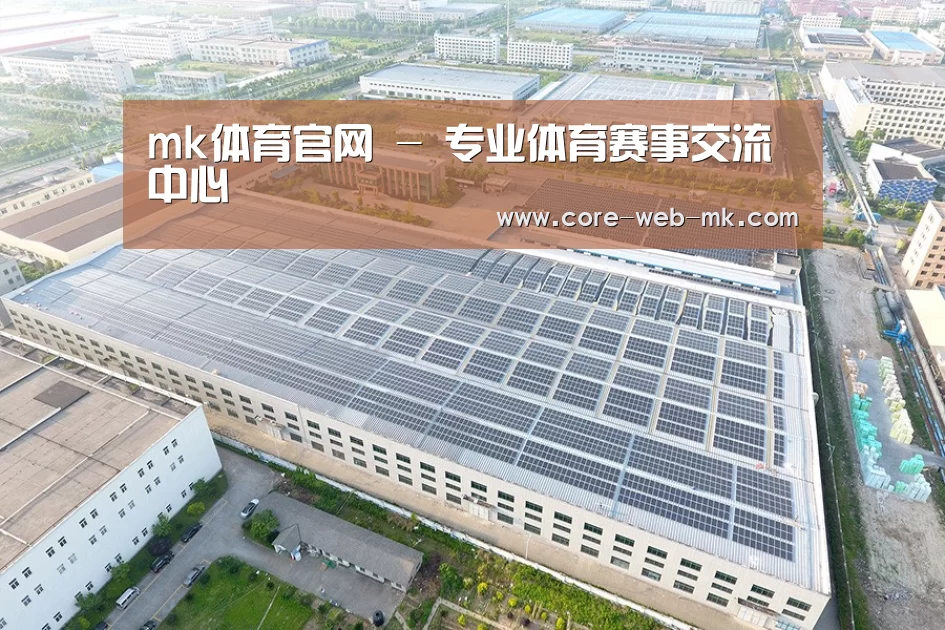 案例展示三