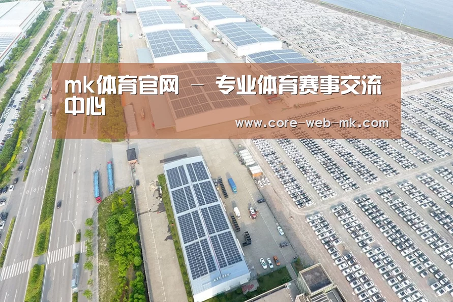 案例展示二