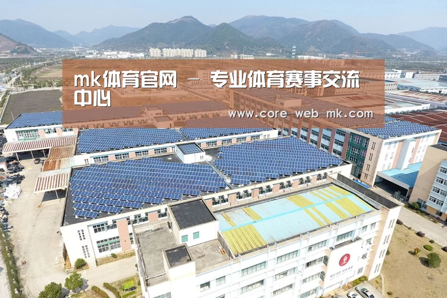 案例展示三