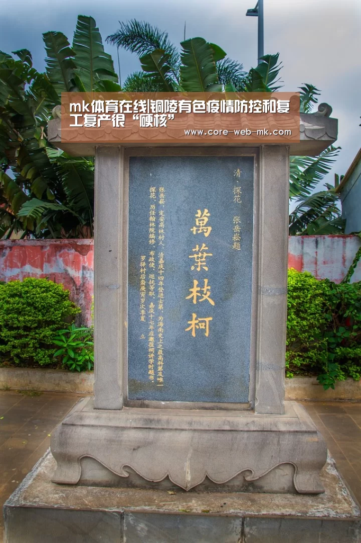mk体育在线|铜陵有色疫情防控和复工复产很“硬核”(图3) mk体育在线
